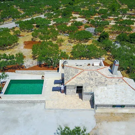 Semesterbostad Bliss *